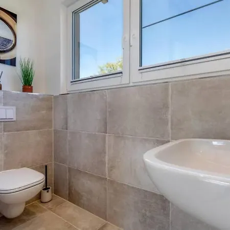 Windrose * 青斯特